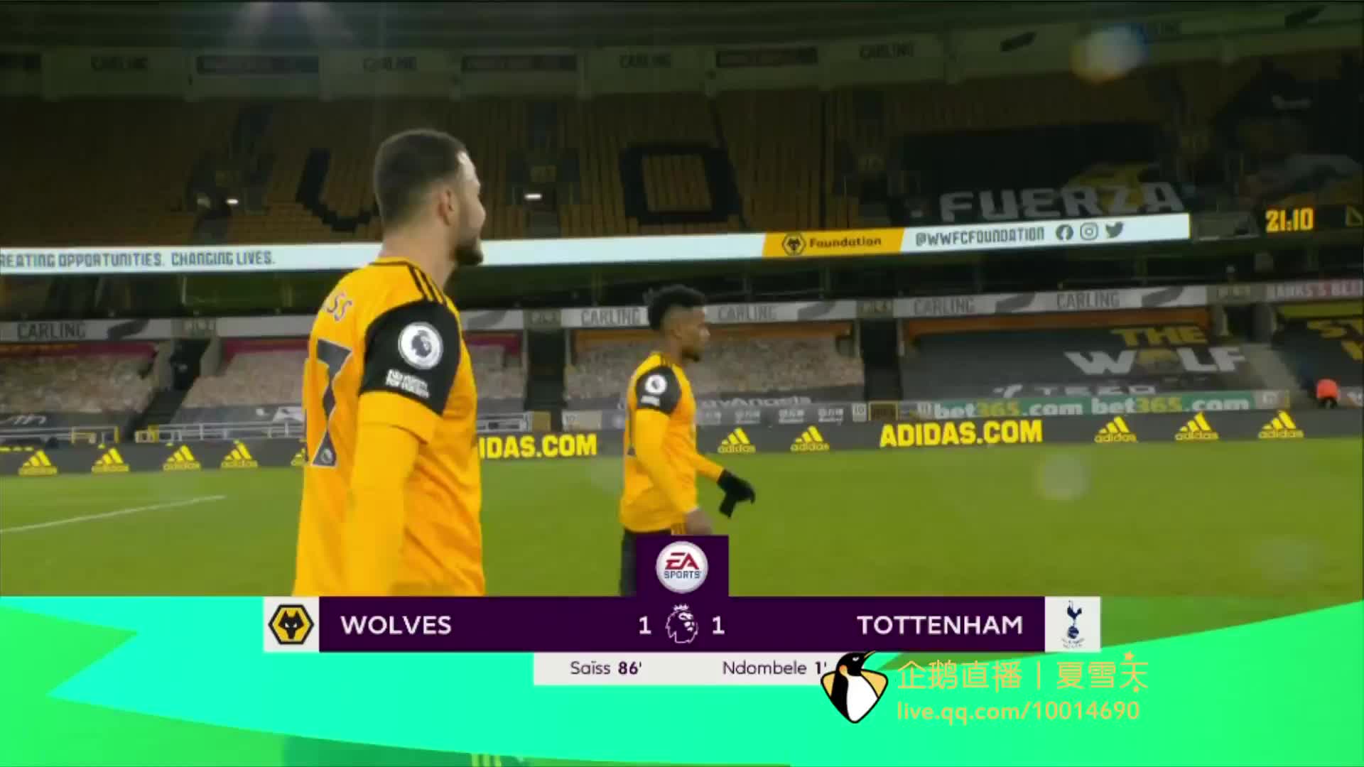 的体育文化 的体育文化